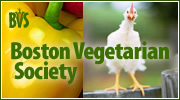 BVS: Home of the Boston Vegetarian Food Festival